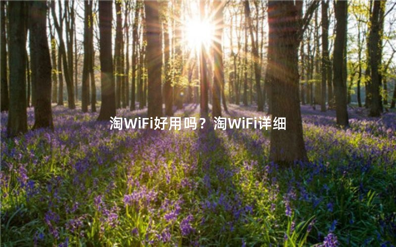 WiFiWiFiϸ