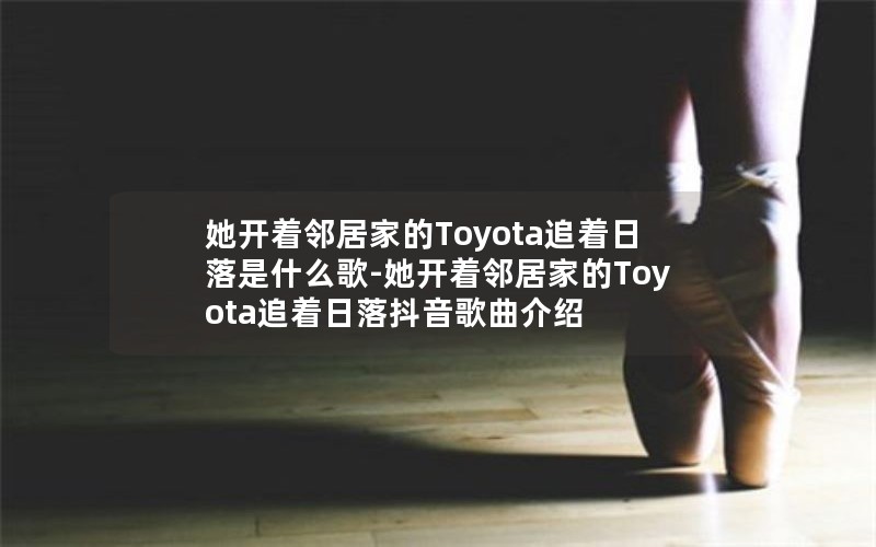 ھӼҵToyota׷ʲô-ھӼҵToyota׷䶶