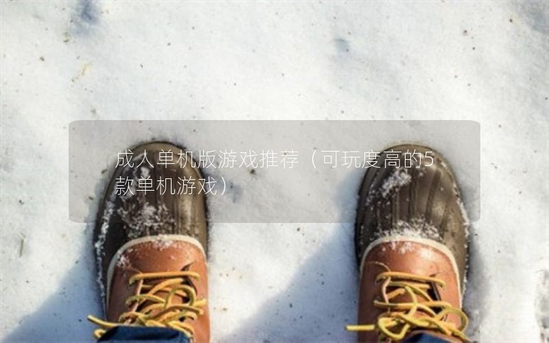 成人单机版游戏推荐（可玩度高的5款单机游戏）