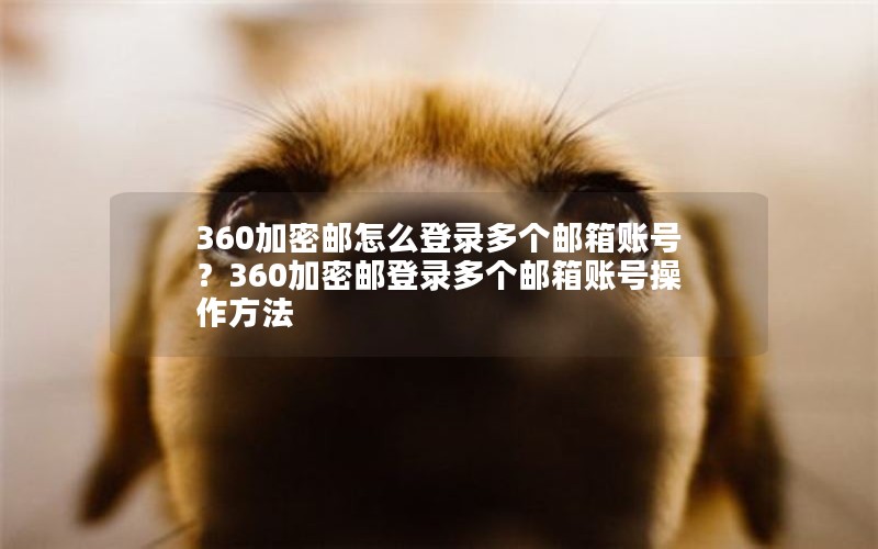 360ô¼˺ţ360ʵ¼˺Ų