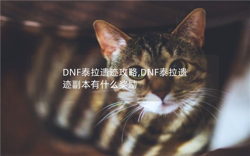 DNF̩ż,DNF̩żʲô