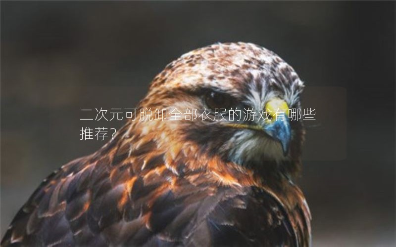 Ԫжȫ·ϷЩƼ