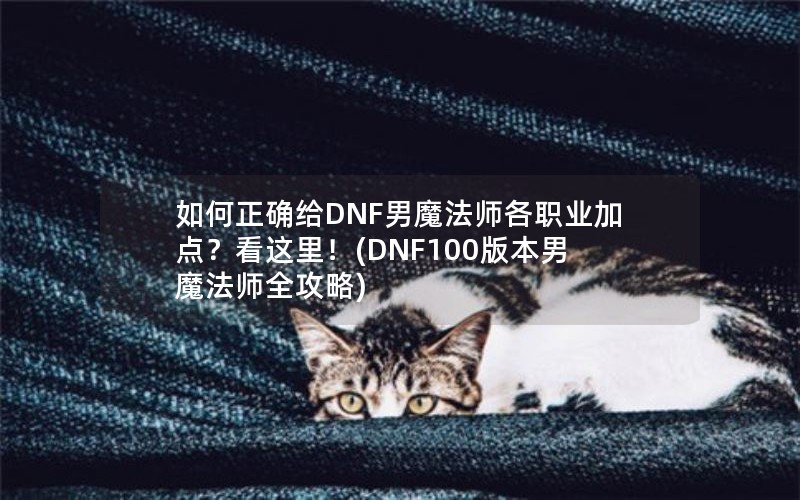 ȷDNFħʦְҵӵ㣿(DNF100汾ħʦȫ)