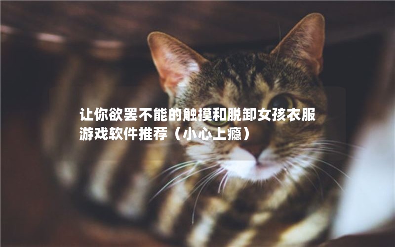 ղܵĴжŮ·ϷƼС񫣩