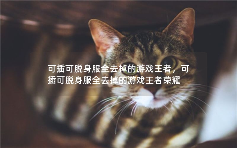 ɲȫȥϷߣɲȫȥϷҫ