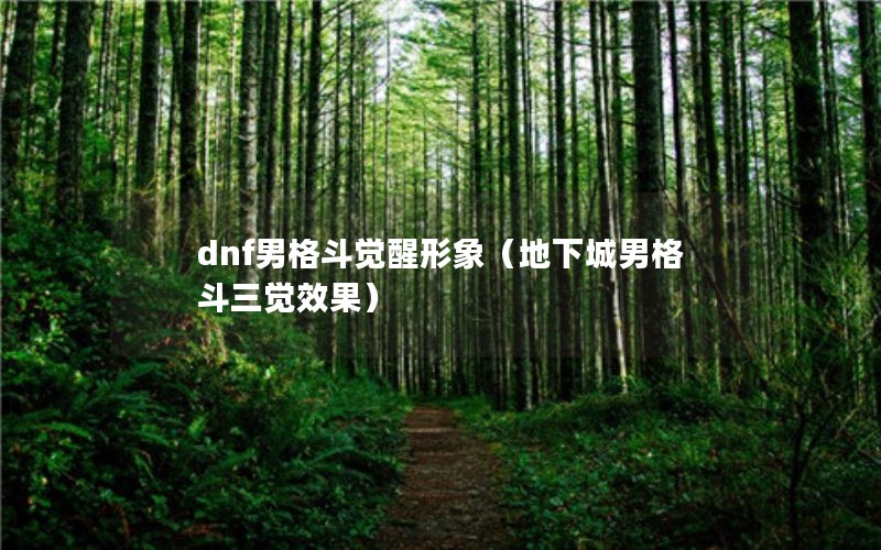 dnfи񶷾󣨵³иЧ