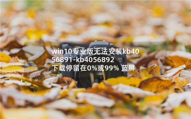 win10רҵ޷װkb4056891-kb4056892 ͣ0%99% 