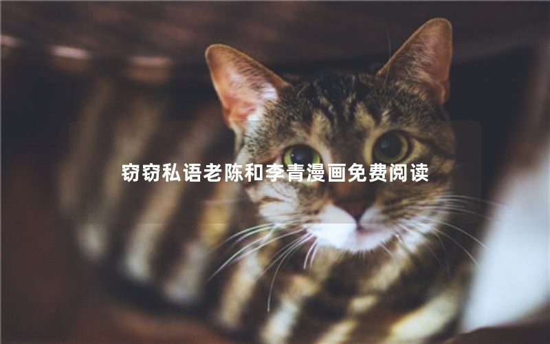 ˽ϳºĶ