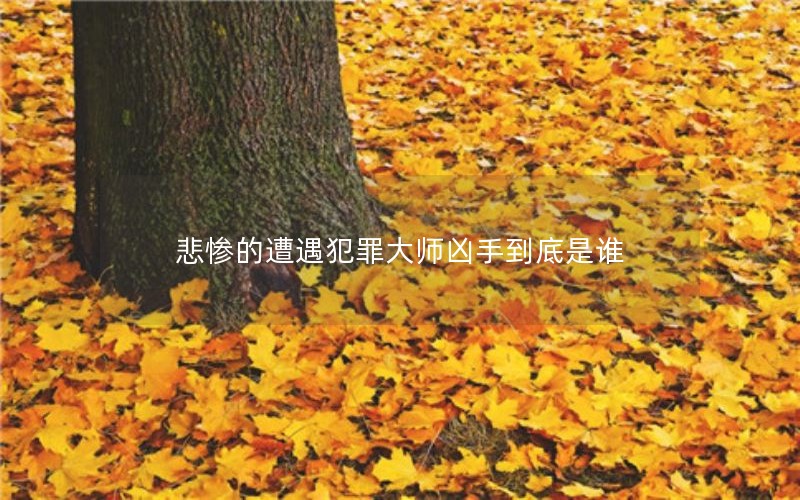 ҵʦֵ˭