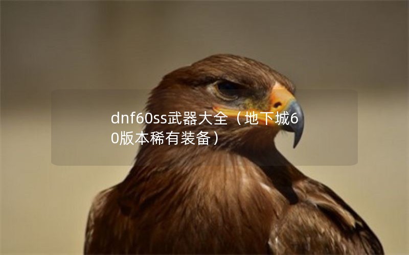 dnf60ssȫ³60汾ϡװ