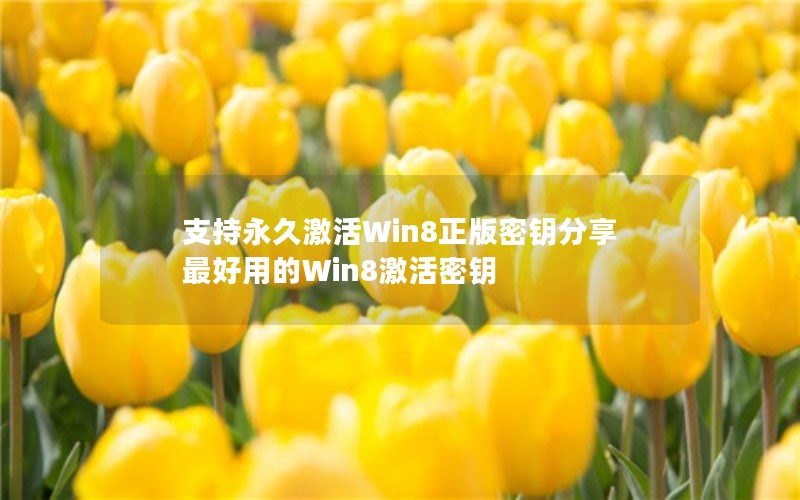 ֧üWin8ԿõWin8Կ