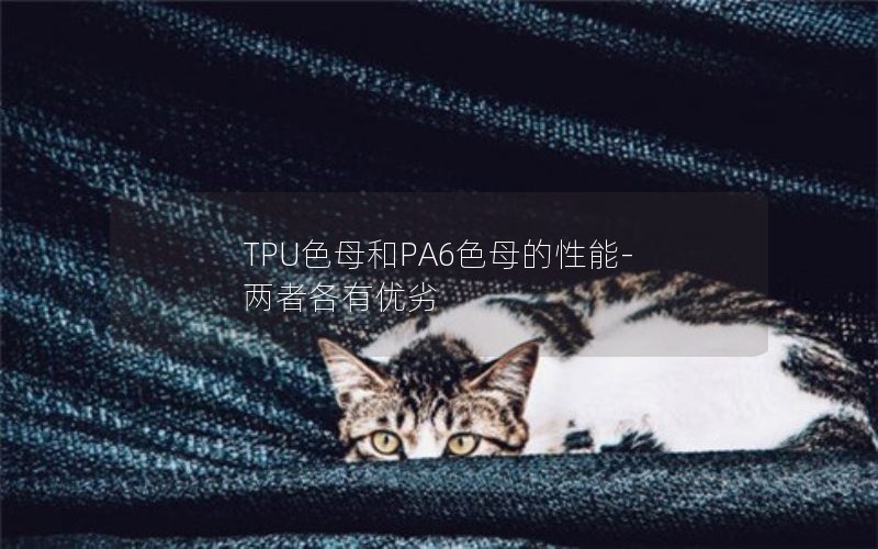 TPUɫĸPA6ɫĸ-߸