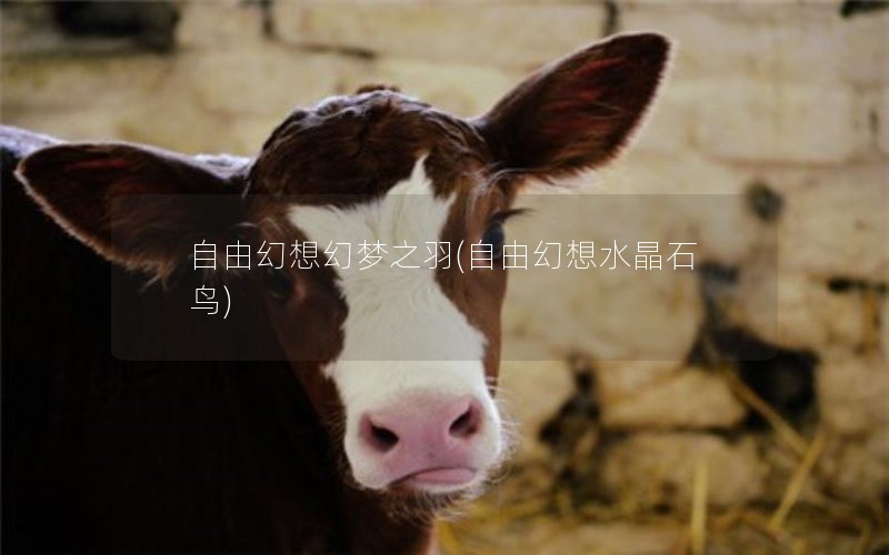 ɻ֮(ɻˮʯ)