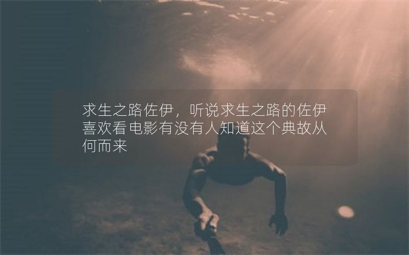 ֮·˵֮·ϲӰû֪ʴӺζ