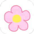 ƹ