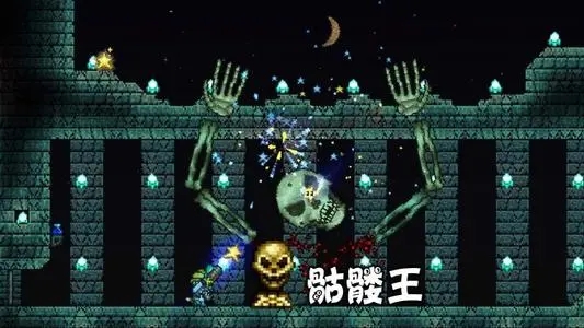 ̩ô װҪ