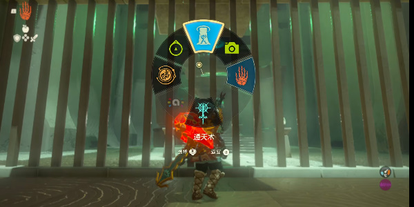 ô