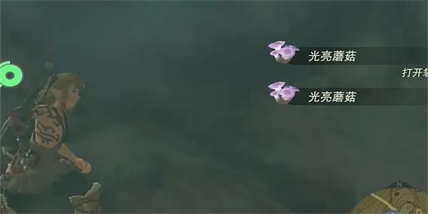 ֮ߵĢս